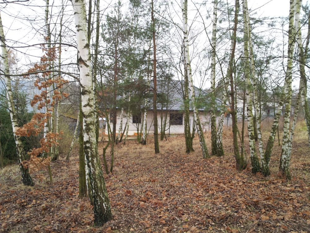 blog budowlany - mojabudowa.pl