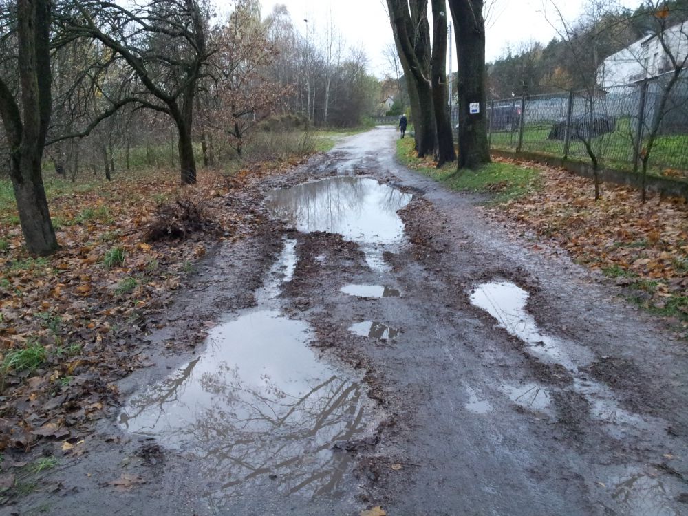 blog budowlany - mojabudowa.pl