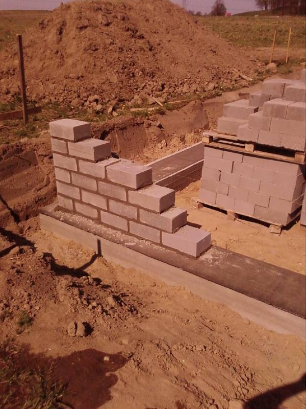 Zdjęcie do wpisu: Pare zdjęć naszej Iskierki :)