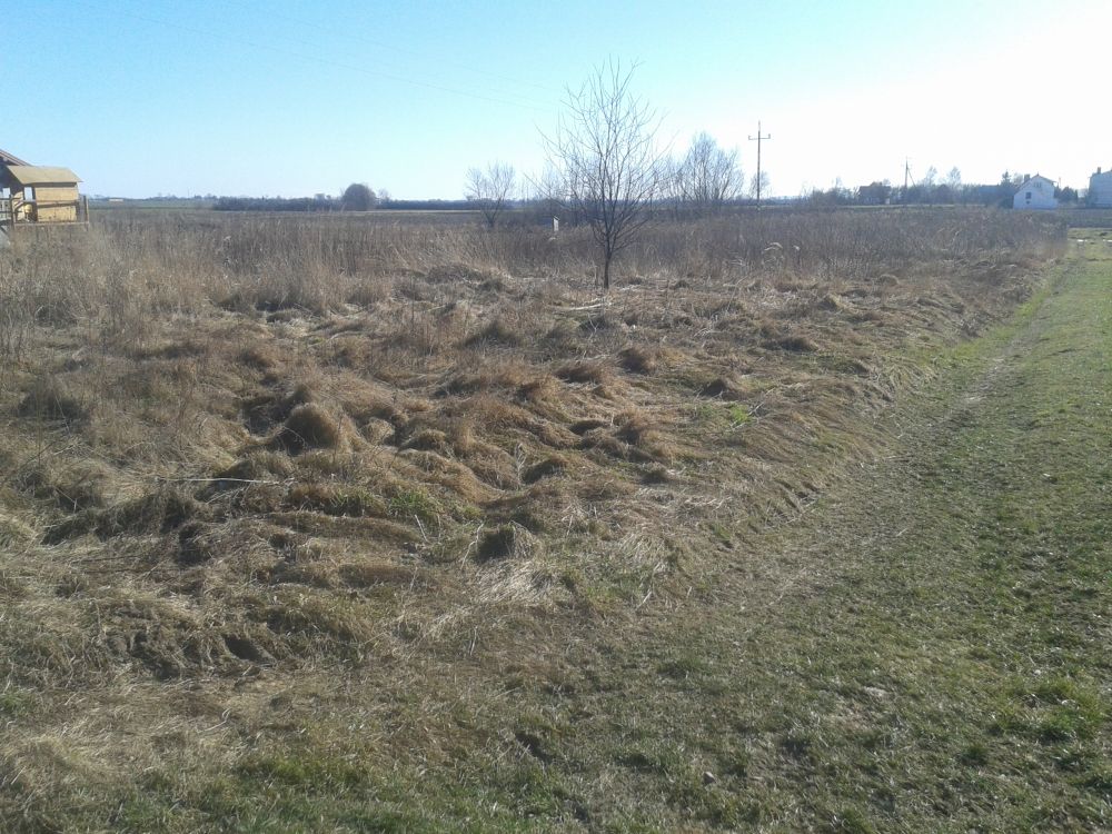 Zdjęcie do wpisu: Działka