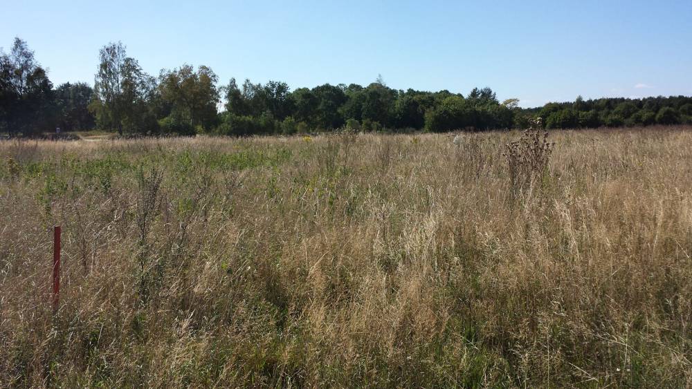 Zdjęcie do wpisu: Działka