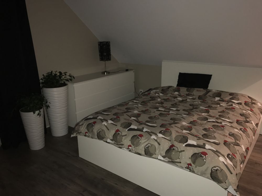 blog budowlany - mojabudowa.pl