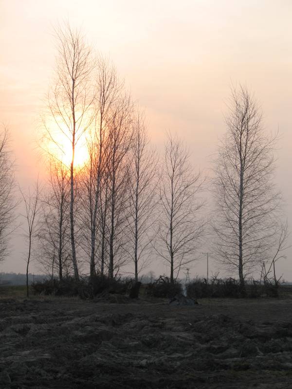 mojabudowa.pl - blog budowlany