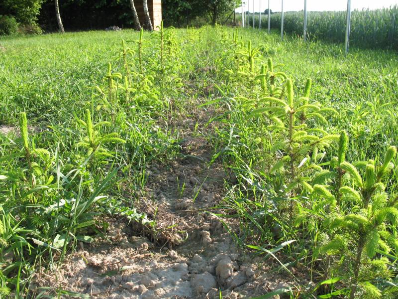 mojabudowa.pl - blog budowlany