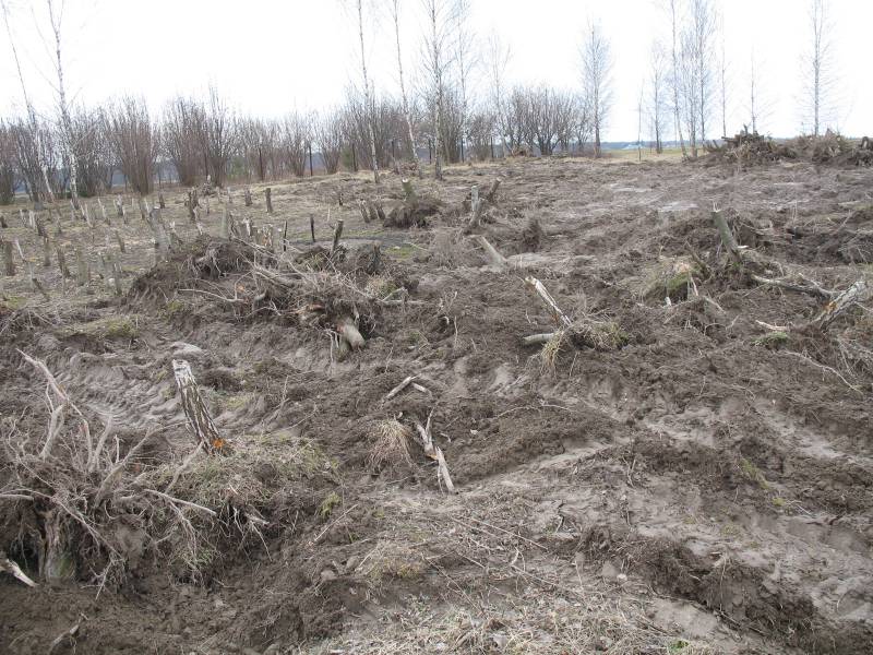 mojabudowa.pl - blog budowlany