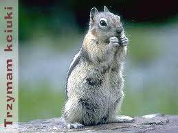 Zdjęcie do wpisu: informacja z Gminy