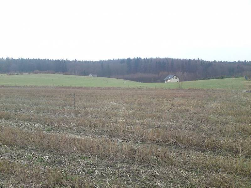 Zdjęcie do wpisu: Początek