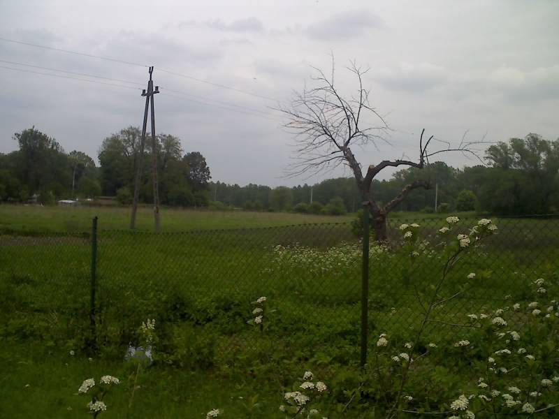 mojabudowa.pl - blog budowlany