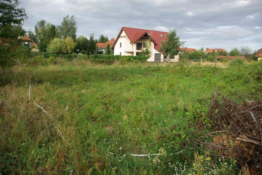 tak to teraz wygląda