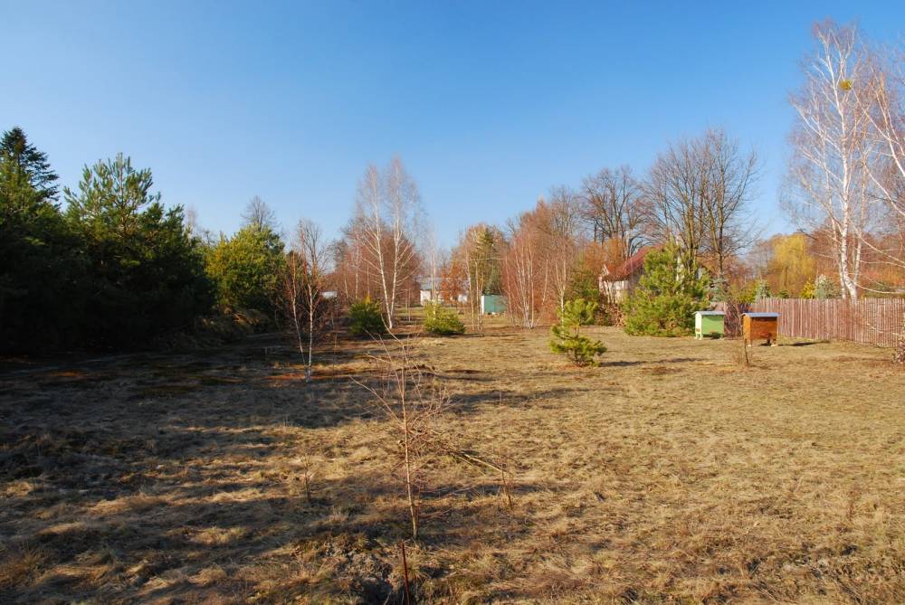 Zdjęcie do wpisu: " I nadejszła wiekopomna chwila..."