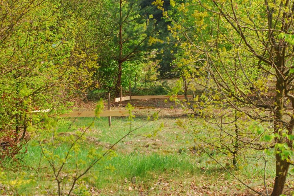 Zdjęcie do wpisu: " I nadejszła wiekopomna chwila..."