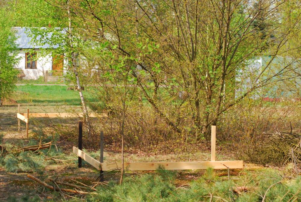 Zdjęcie do wpisu: " I nadejszła wiekopomna chwila..."