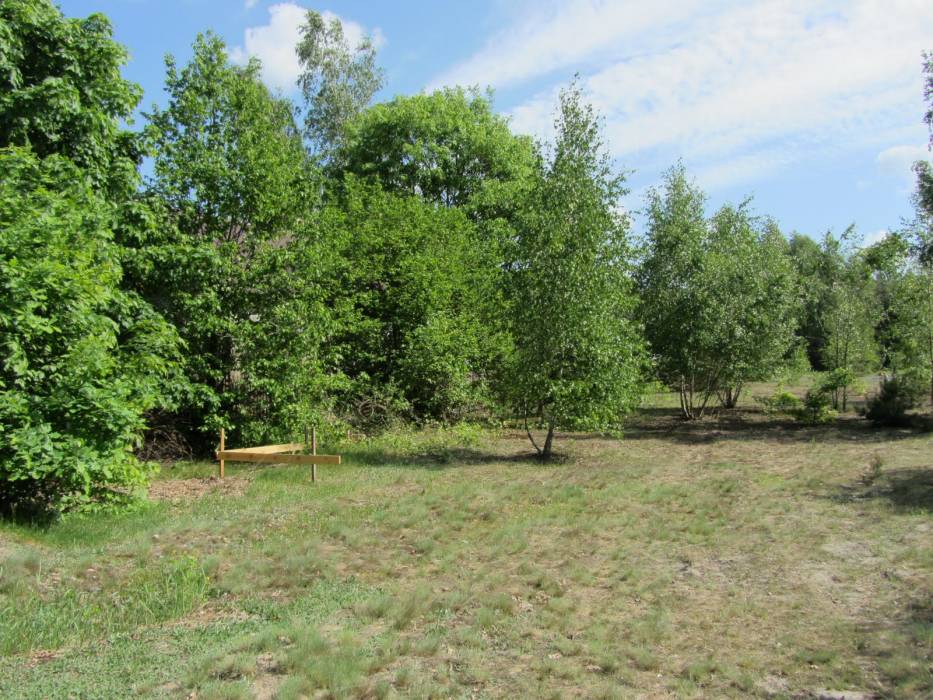 Zdjęcie do wpisu: " I nadejszła wiekopomna chwila..."