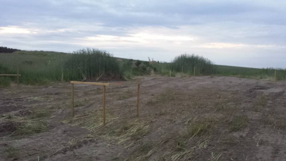 Zdjęcie do wpisu: WYTYCZENIE DOMU PRZEZ GEODETĘ