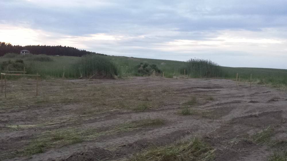 Zdjęcie do wpisu: WYTYCZENIE DOMU PRZEZ GEODETĘ