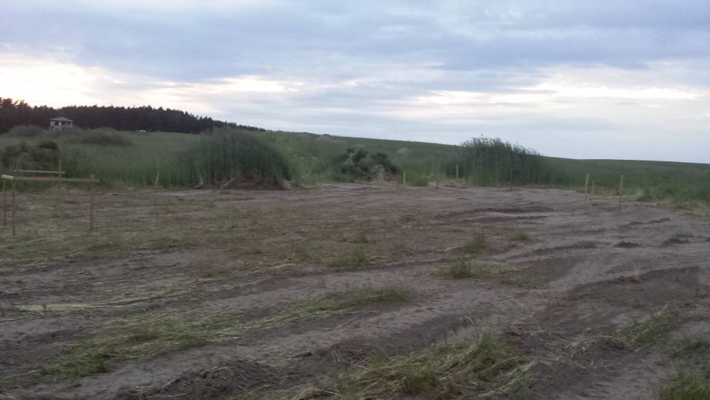 Zdjęcie do wpisu: WYTYCZENIE DOMU PRZEZ GEODETĘ