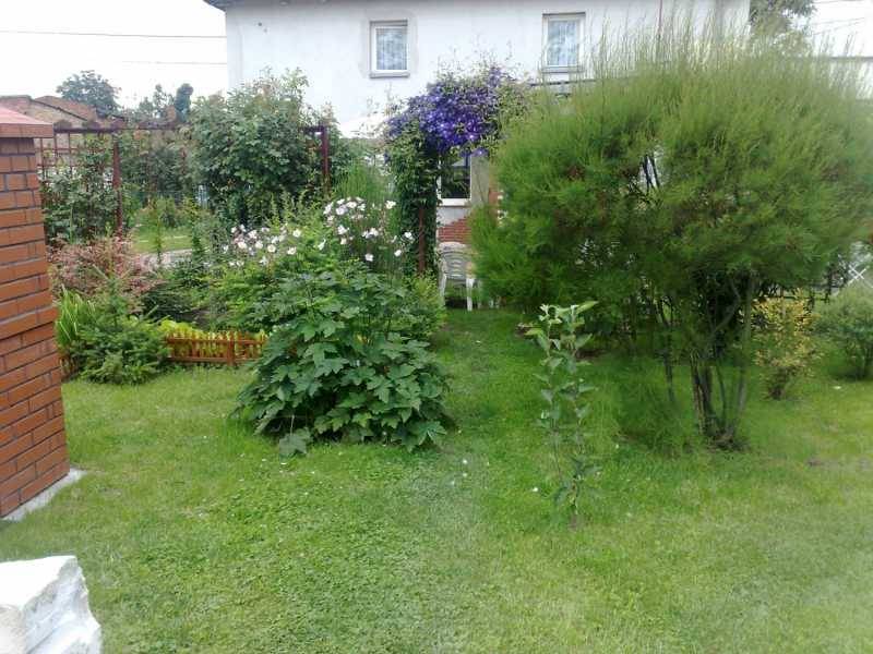 mojabudowa.pl - blog budowlany