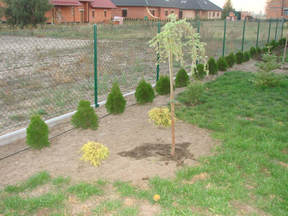 Zdjęcie do wpisu: Witajcie :)