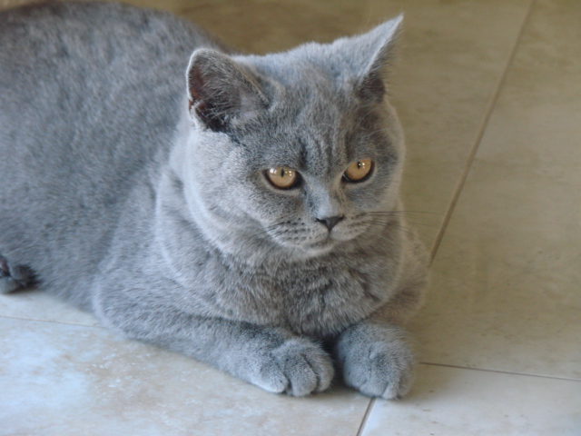 Zdjęcie do wpisu: Zimie mówię dość!!!