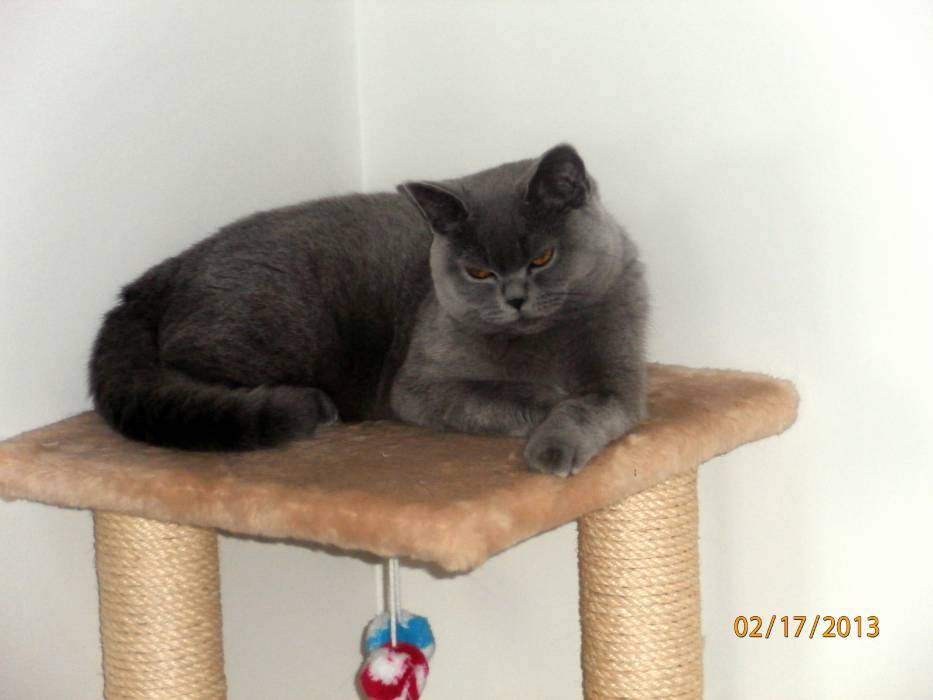 Zdjęcie do wpisu: Zimie mówię dość!!!