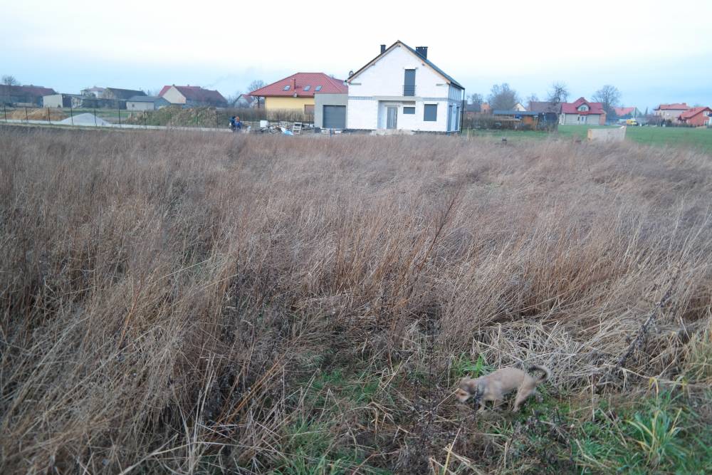 Zdjęcie do wpisu: Start!