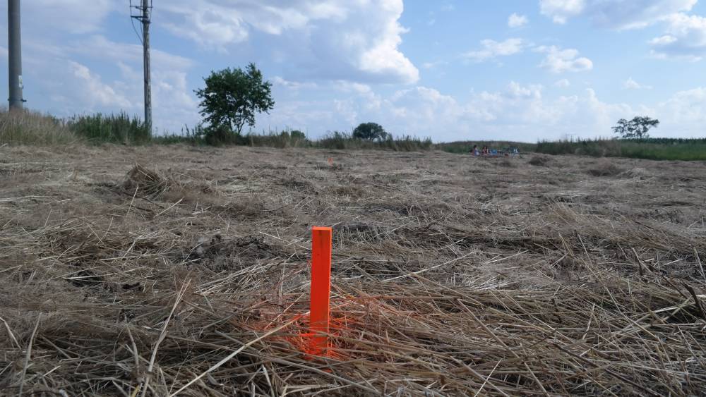 Zdjęcie do wpisu: Misja Sosnowiec! I ściąganie humusu:)