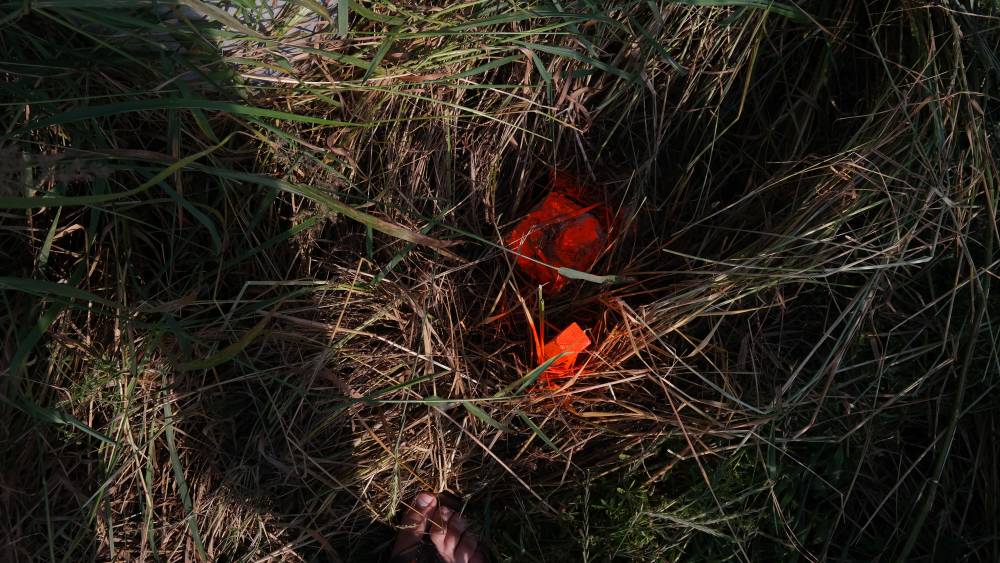 Zdjęcie do wpisu: Misja Sosnowiec! I ściąganie humusu:)