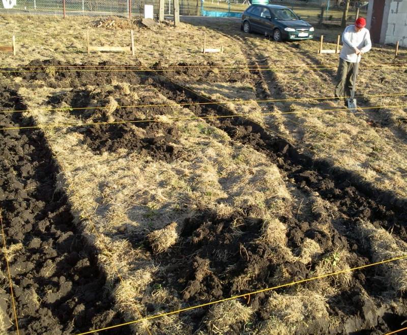 mojabudowa.pl - blog budowlany