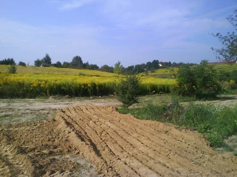 Zdjęcie do wpisu: 24.08.2010