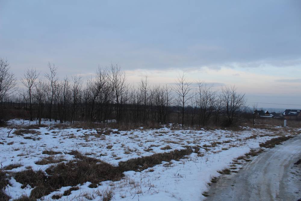 Zdjęcie do wpisu: Im dalej w las...