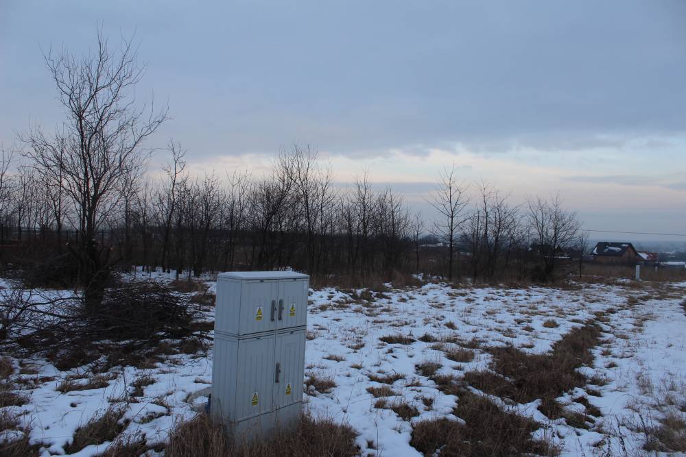 Zdjęcie do wpisu: Im dalej w las...