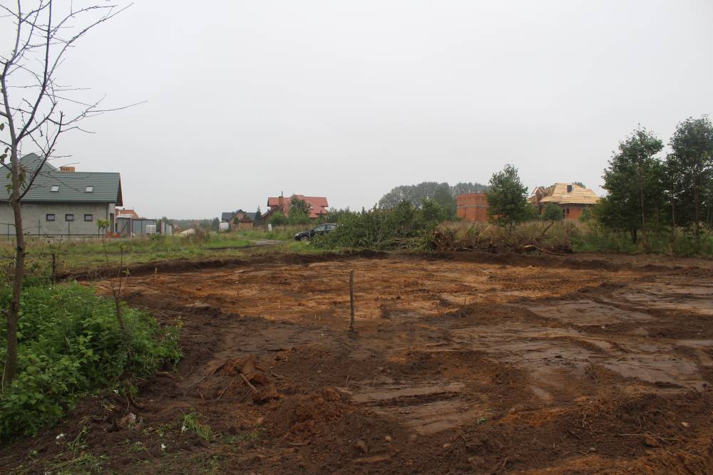 Zdjęcie do wpisu: Nadrabiamy zaległości