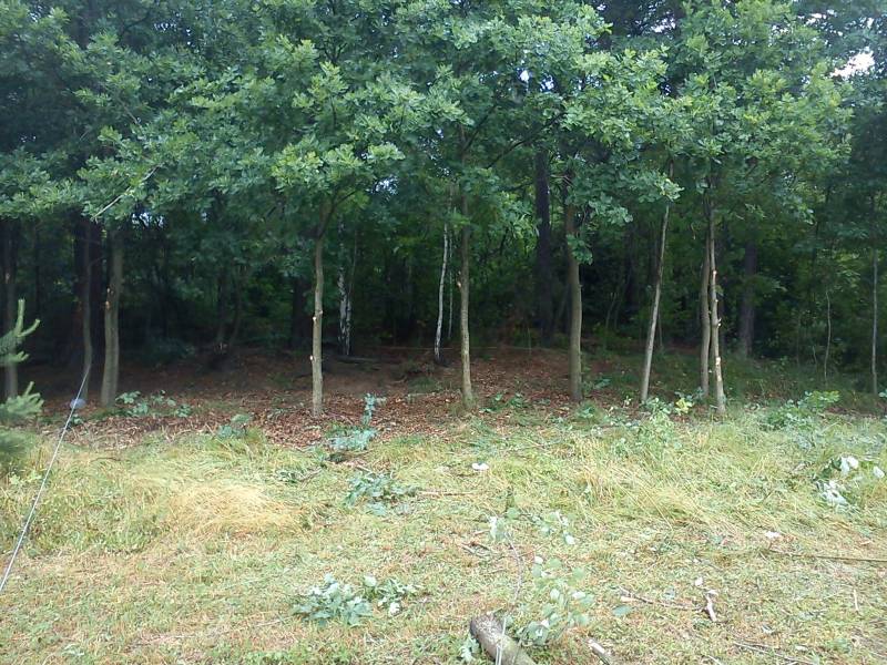 Zdjęcie do wpisu: porządki