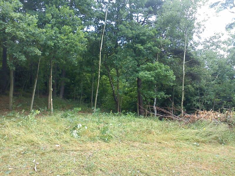 Zdjęcie do wpisu: porządki