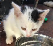 blog budowlany - avatar kik-cyprys26