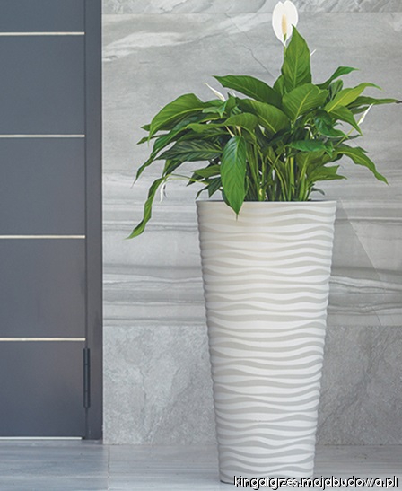 mojabudowa.pl - blog budowlany