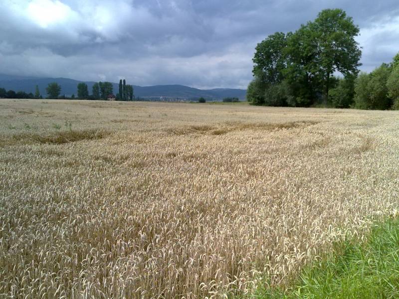 mojabudowa.pl - blog budowlany