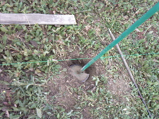 Zdjęcie do wpisu: budowa ogrodzenia