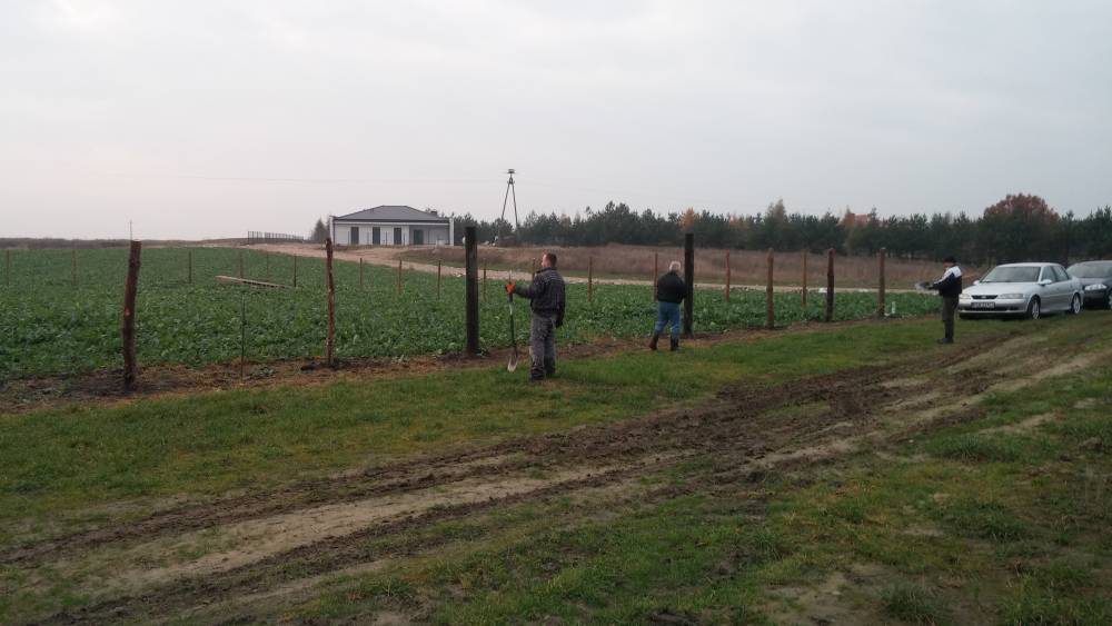 blog budowlany - mojabudowa.pl