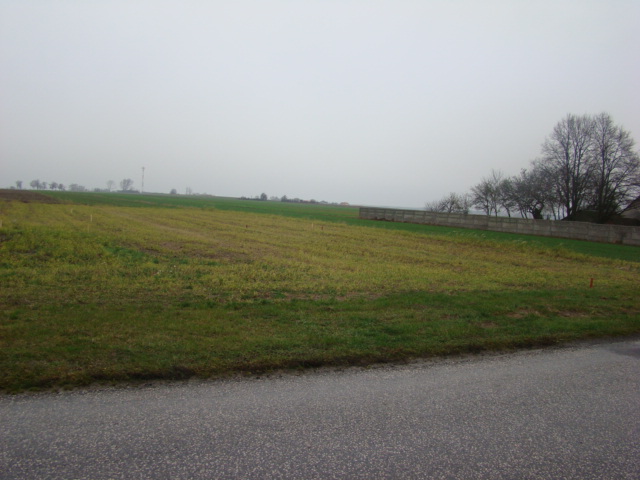 Zdjęcie do wpisu: przed zakupem projektu