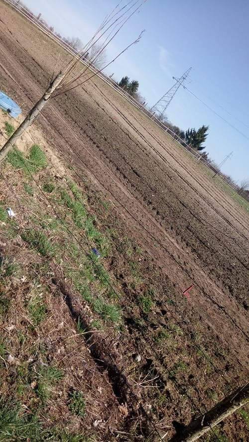 Zdjęcie do wpisu: Zdjęcia :)