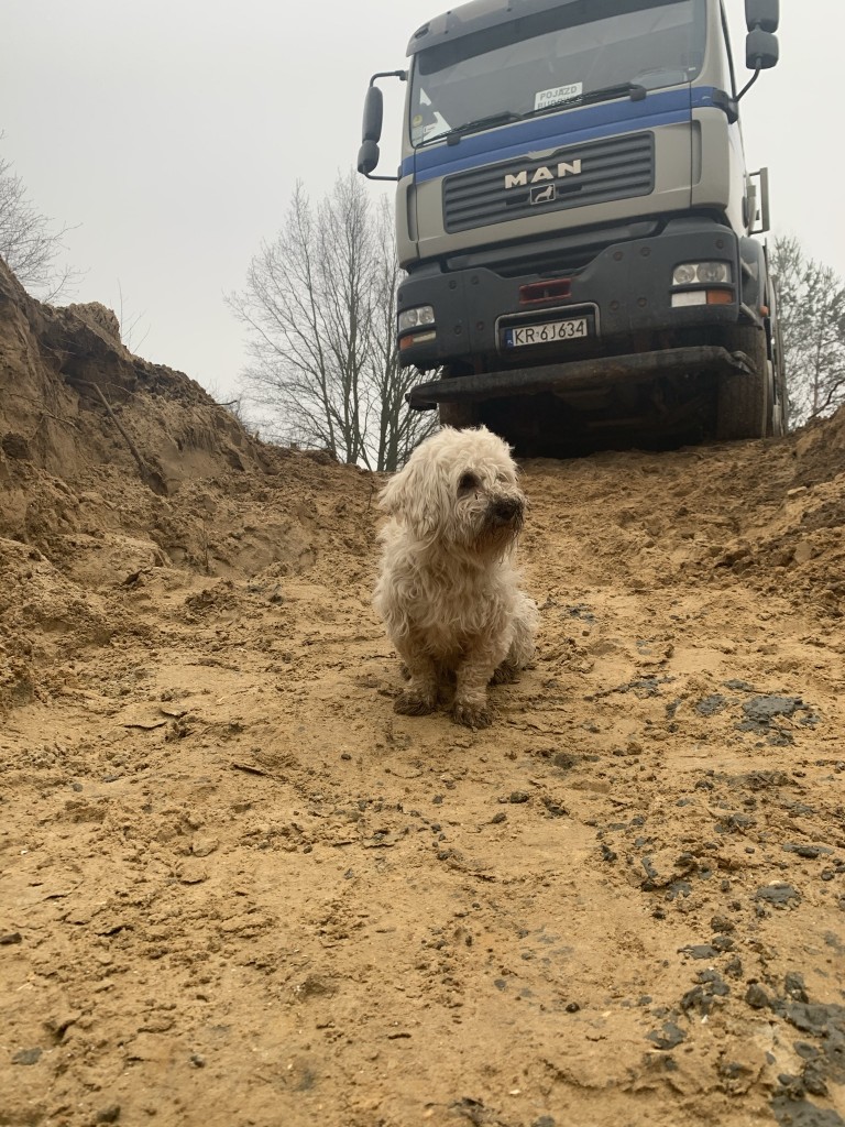 mojabudowa.pl - blog budowlany