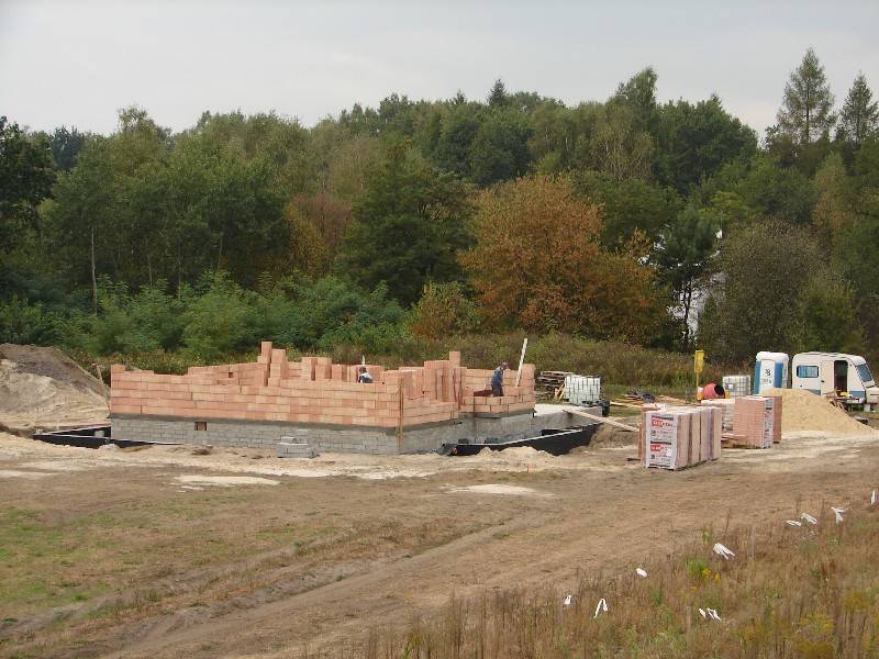 Zdjęcie do wpisu: Czas na ściany "Niech sie mury pną do góry"