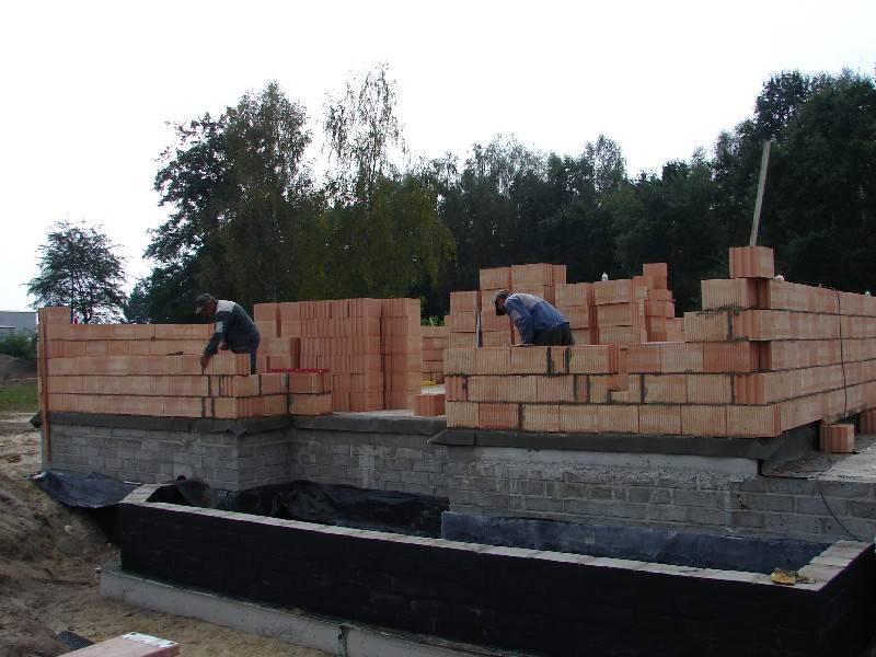 Zdjęcie do wpisu: Czas na ściany "Niech sie mury pną do góry"