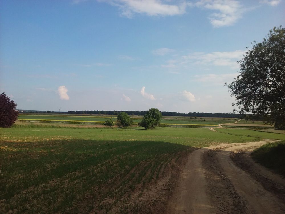 Zdjęcie do wpisu: Papierologia :)