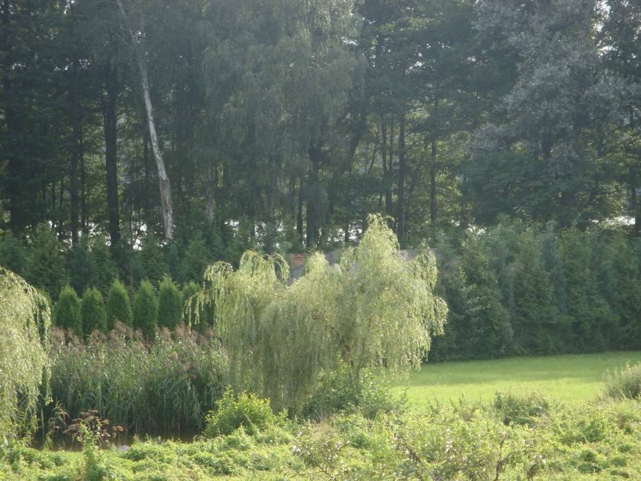 blog budowlany - mojabudowa.pl