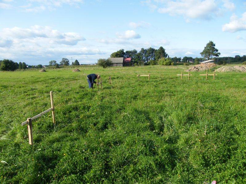 mojabudowa.pl - blog budowlany