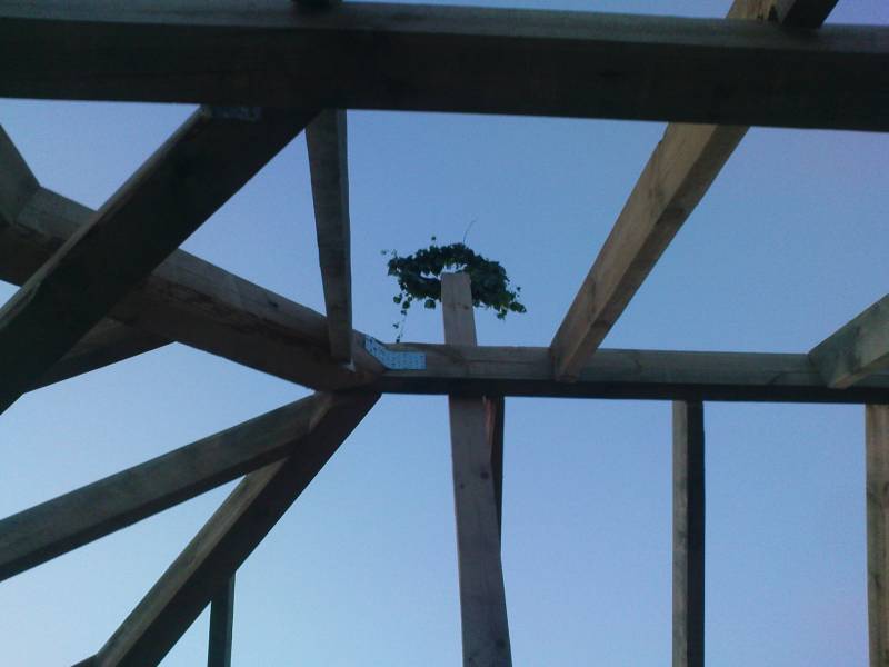 mojabudowa.pl - blog budowlany