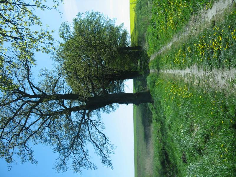 Zdjęcie do wpisu: Pierwsze koty za ploty.....biurokracji .