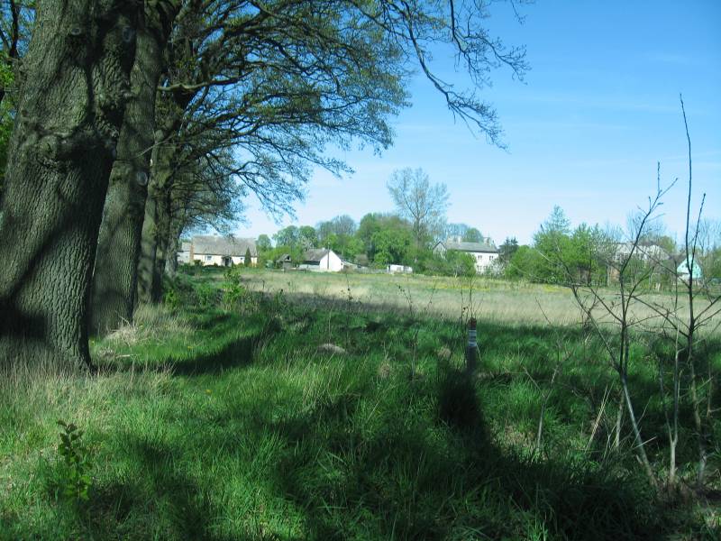 Zdjęcie do wpisu: Pierwsze koty za ploty.....biurokracji .